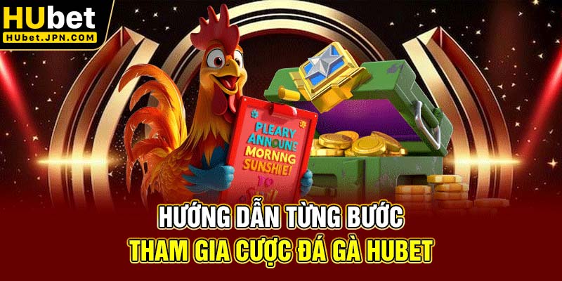 Hướng dẫn từng bước tham gia cược đá gà Hubet