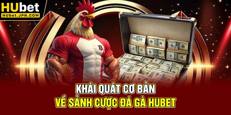 Khái quát cơ bản về sảnh cược đá gà Hubet
